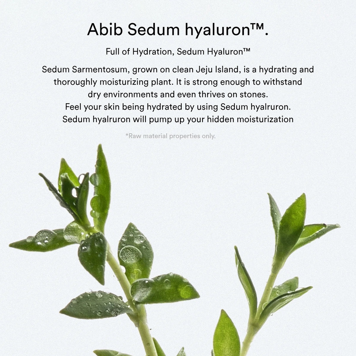Abib Sedum Hyaluron Pad Hydrating Touch — Discos hidratantes 75 unidades