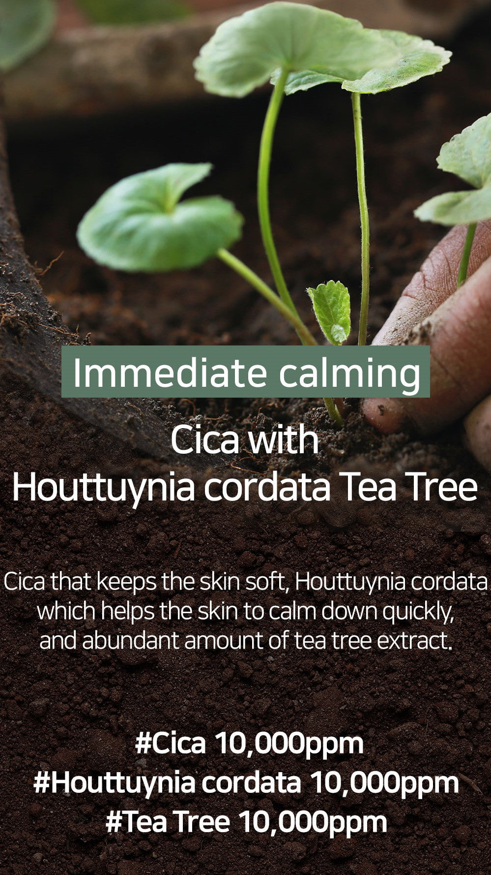 Mary&May Cica Houttuynia Cordata Tea Tree Calming, Mascarilla facial 30 unidades