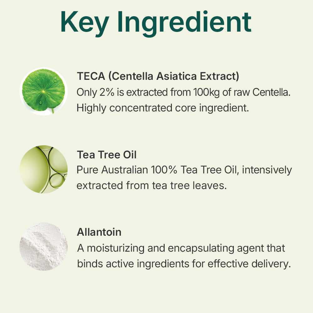 Centellian24 Madeca Powder Tea Tree AC — Polvo limpiador facial 6 g — foto oficial de la marca